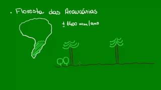 Mata das Araucárias  Ecologia  Biologia [upl. by Nnagrom694]