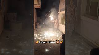 Deepawali celebration 🎉  Happy Diwali  happydeepawali himsamewari [upl. by Kovacev]