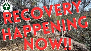 Appalachian Trail Damage Recovery and Thru Hiker information [upl. by Anuahs]