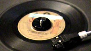 Hermans Hermits  Mrs Brown Youve Got A Lovely Daughter  45 RPM [upl. by Osmen]