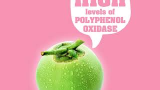 High Polyphenol Oxidase [upl. by Bunder935]