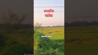 চলনবিল নাটোর shorts natore viralsong MrJahed cholonbil trendingsong subscribe [upl. by Hoeve]