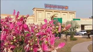 پھالہ جم خانہ کے نظارےViews of Phala Gymkhana [upl. by Valerye]