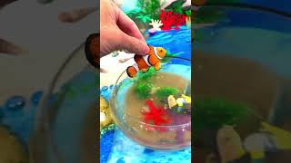 Putting Sea Animal Toys in Water shorts [upl. by Vandervelde]