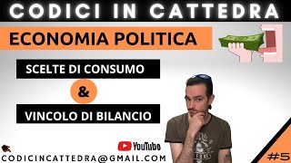 ECONOMIA POLITICA 5  SCELTE DI CONSUMO e VINCOLO DI BILANCIO  Giurisprudenza [upl. by Pihc]