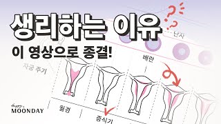 생리하는 이유 호르몬 변화 배란 자궁주기 난소주기  여성건강 해피문데이 [upl. by Kinsler]