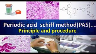 Periodic Acid Schiff MethodPAS Principal procedureMlsPASMedilabacademyPeriodicacidschiff [upl. by Decker432]