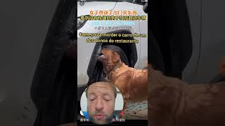 Cachorro chinês comeu o carro React do vídeo viral na China CachorroFurioso React China Dog [upl. by Sire550]