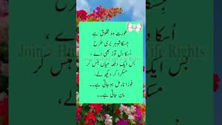 عورت وہ مخلوق flute music cover ringtone recorder quotes ncsringtone musiclove poetry noco [upl. by Map]