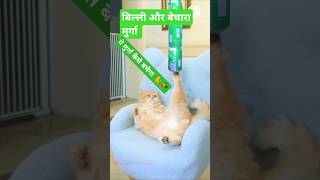 बिल्ली और मुर्गाफनी शॉर्ट वीडियोBilli aur murgi ka funny shortshorts youtubeshortstrendingviral [upl. by Aivalf83]