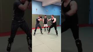 Mirko Cro Cop  high kick lesson [upl. by Doomham]