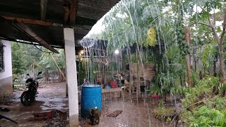 Fuertes lluvias con viento que rica se puso freca la tarde asi disfrutamos la lluvia en casa😱 [upl. by Dowdell]