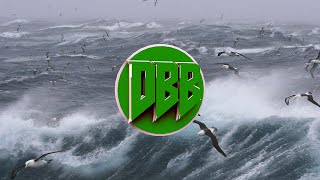 AronChupa  Im an Albatraoz Bass Boosted 1080p [upl. by Corella]