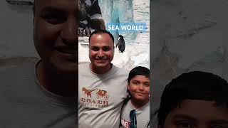 ABU DHABI SEA WORLD abudhabi travel seaworldabudhabi disney music aladdin arabiannights song [upl. by Ashlee49]