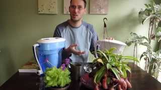 Using filtered water for Carnivorous Plants [upl. by Hourihan]