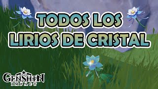 Ruta de TODOS los LIRIOS DE CRISTAL  Genshin Impact Español [upl. by Richia]