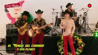 El Angel del Corrido y sus Plebes  Las 4 camionetas video musica trending viralvideo viral [upl. by Medin]