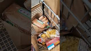 Huge DoorDash Grocery Shopping Order [upl. by Maclaine561]