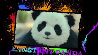 Instant Panda  Lintégral [upl. by Eitirahc]