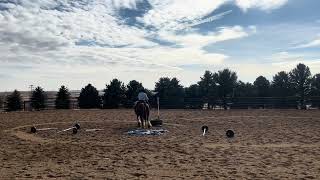 Clyde 2018 Gypsy Vanner Gelding [upl. by Safir]