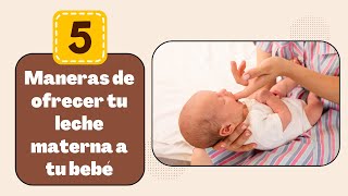 5 MANERAS DE OFRECER TU LECHE MATERNA A TU BEBÉ EN TU AUSENCIA [upl. by Bonacci]