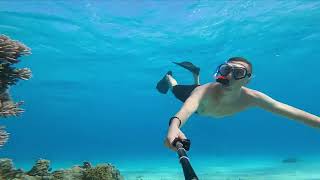 Egipt Marsa Alam snorkeling freediving [upl. by Hairym184]