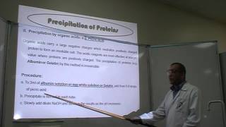 Picric Acids test Part 1 Proteins precipitation by Organic Solvents [upl. by Dame775]