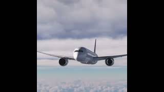 Air Europa Flight 45  Landing Animation July 1 2024 [upl. by Oirotciv]