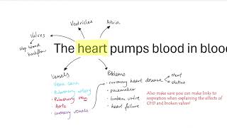 AQA GCSE  B414 Human circulatory system OVERVIEW [upl. by Quigley]