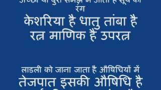 The Sun in Astrology Hindi [upl. by Lindell]