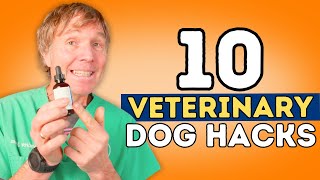 Top 10 Veterinary Dog Hacks [upl. by Sancho]