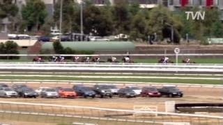 2008 LKS Mackinnon Stakes  Theseo [upl. by Trisha5]