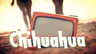 DJ BoBo  CHIHUAHUA Official Music Video Radio Version [upl. by Ahsikrats]