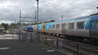 Pascoe Vale Station Level Crossing [upl. by Leina281]