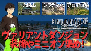 【FF14🌱参加型】■379■VDの装備欲しいのでVD周回しますー！【MeteorDCValefor】 [upl. by Karr]