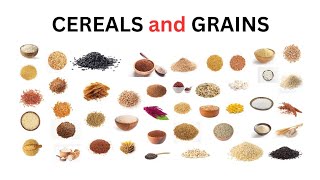 50 Cereals and grains name In english  Learn english vocabulary  cereals and grains vocabulary [upl. by Cotterell]