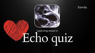 Echo quiz  Congenital heart defect [upl. by Carmon]