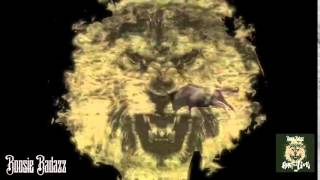 Lil Boosie Heart Of A Lion 2014 [upl. by Ecnarrot]