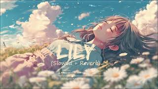 Alan Walker K 391 amp Emelie Hollow  Lily Slowed  Reverb  DANJEE SONGS [upl. by Gniliem]