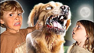 You WONT believe how we FOUND our dog SCARY [upl. by Waneta]