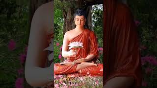 पुनर्जन्म motivation budhainspired buddhiststory motivation [upl. by Nasia]