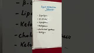 Lipid Metabolism Pathways lipids lipid metabolism metabolic [upl. by Murphy]