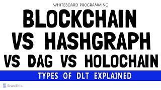 Blockchain vs Hashgraph vs DAG vs Holochain  Types of DLT Explained [upl. by Aleunamme244]