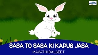 Sasa To Sasa Ki Kapus Jasa  Marathi Balgeet For Kids [upl. by Ennaxxor]