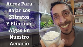 🔵 Usar Arroz En El Acuario Para Bajar Los Nitratos Y Eliminar Algas De Nuestra Pecera Acuarios MB [upl. by Mitman]