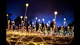 Worldrenowned artist Bruce Munro lights up Southern Colorado [upl. by Nyleuqcaj]