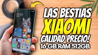 5 MEJORES TELEFONOS XIAOMI CALIDAD PRECIO QUE DEBES COMPRAR AHORA [upl. by Serg449]