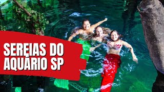 O MERGULHO DAS SEREIAS NO AQUÁRIO DE SÃO PAULO [upl. by Bak773]