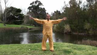 Ziran Qigong Level 1 Form  1st Half [upl. by Hettie]