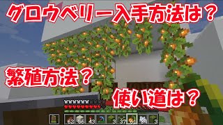 【兄弟マイクラ】グロウベリーの入手方法、増やし方、使い道は？ 36 [upl. by Milburn]